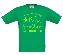 Load image into Gallery viewer, Big Brother, Again T-Shirt
