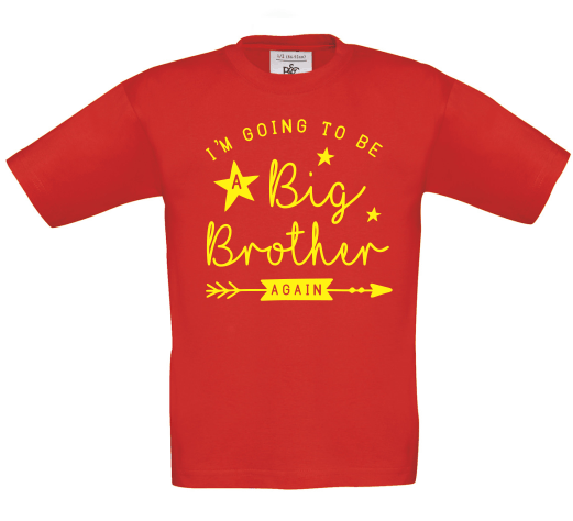 Big Brother, Again T-Shirt