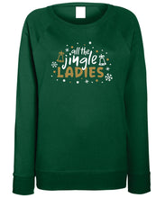 Load image into Gallery viewer, Women&#39;s Christmas Sweatshirt (All the Jingle Ladies)
